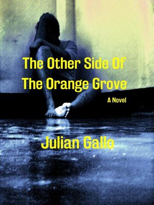 cover image of The Other Side of the Orange Grove